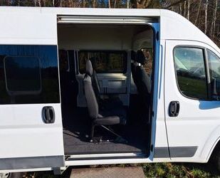 Fiat Ducato Gebrauchtwagen