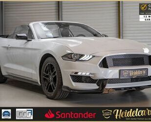 Ford Ford Mustang Convertible SHELBY*SITZBELÜFT*LEDER*N Gebrauchtwagen