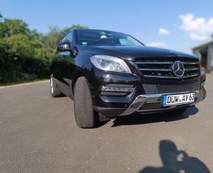 Mercedes-Benz Mercedes-Benz ML 350 BlueTEC 4MATIC /Pano/TÜV/ Bre Gebrauchtwagen