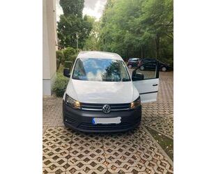 VW Volkswagen Caddy 2,0TDI Kasten 75kW TOP ZUSTAND Gebrauchtwagen