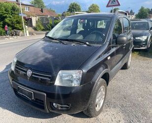 Fiat Fiat Panda 1.2 8V Climbing 4X4 Gebrauchtwagen