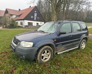 Ford Maverick Gebrauchtwagen