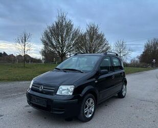 Fiat Fiat Panda 1.3 16V JTD Dynamic Gebrauchtwagen