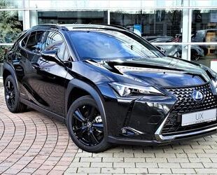 Lexus Lexus UX 250h Style+ Edition Gebrauchtwagen