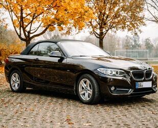 BMW BMW 220i Cabrio Sport Line Sport Line Gebrauchtwagen