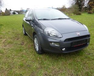 Fiat Fiat Punto 1.2 8V MORE Zahnriemen erneuert Gebrauchtwagen