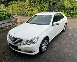 Mercedes-Benz Mercedes-Benz E 300 CDI BlueEFFICIENCY - Gebrauchtwagen