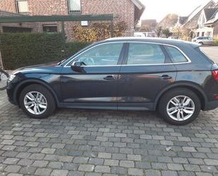 Audi Audi Q5 2.0 TDI - Gebrauchtwagen