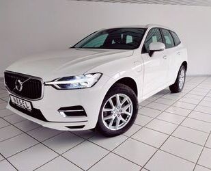 Volvo Volvo XC60 T8 Momentum Plug-In Hybrid AWD Leder AH Gebrauchtwagen