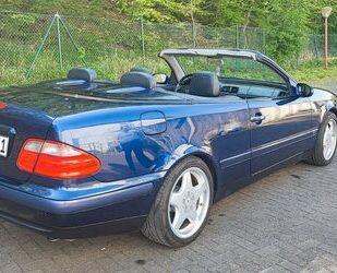 Mercedes-Benz Mercedes-Benz CLK 200 Elegance Cabrio Automatik * Gebrauchtwagen