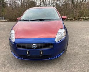 Fiat Fiat Punto 1.2 8V Active Active Gebrauchtwagen