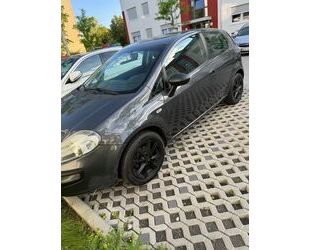 Fiat Fiat Punto Evo 1.2 8V Active /Benzin/ Klimaanlage/ Gebrauchtwagen