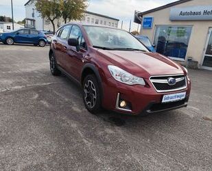 Subaru Subaru XV 1.6i Trend Lineartronic 4WD Gebrauchtwagen