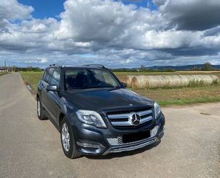 Mercedes-Benz Mercedes-Benz GLK 220 CDI Pano Easy Pack BiX AHK S Gebrauchtwagen