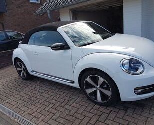 VW Volkswagen Beetle 1.4 TSI BMT Sport Cabriolet Spor Gebrauchtwagen