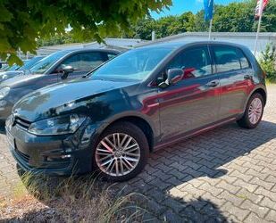 VW Volkswagen Golf VII 1,6TDi Cup BMT Gebrauchtwagen