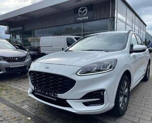 Ford Ford Kuga ST-Line X Gebrauchtwagen