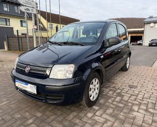 Fiat Fiat Panda 1.2 8V Dynamic TÜV NEU Insp.NEU Gebrauchtwagen