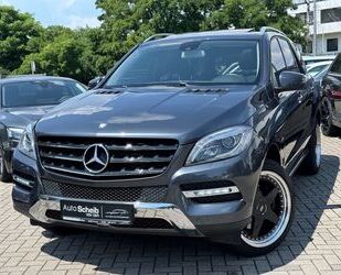 Mercedes-Benz Mercedes-Benz ML 250 CDI BlueTEC*Kamera*Bi-Xenon*S Gebrauchtwagen