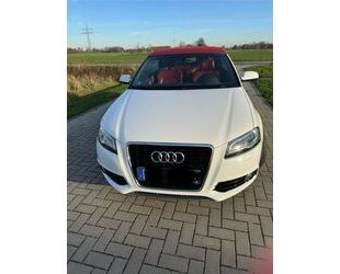 Audi Audi A3 2.0 TDI S tronic S line Cabriolet S line Gebrauchtwagen