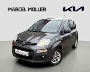 Fiat Fiat Panda 1.2 Easy Serie 2 Gebrauchtwagen