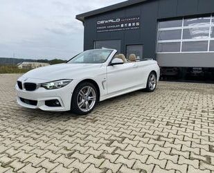 BMW BMW Cabrio 440 i xDrive M Sport St-Heiz./Kamera/AH Gebrauchtwagen