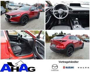 Mazda Mazda CX-30 2.0 e-SKYACTIV-G M-Hybrid 122 Homura * Gebrauchtwagen