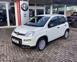 Fiat Fiat Panda Pandina 1.0 GSE 52kW Hybrid Klima, DAB Gebrauchtwagen