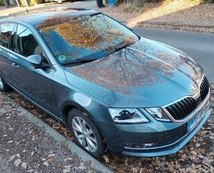 Skoda Skoda Octavia 1.0 TSI Style Gebrauchtwagen