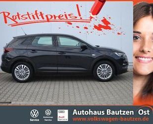 Opel Opel Grandland X 1.5 D Edition AHK/18-ZOLL/GRA/PDC Gebrauchtwagen