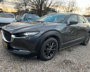 Mazda Mazda CX-30 Selection *Autom.*Head-Up*BOSE*ACC*360 Gebrauchtwagen