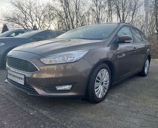 Ford Ford Focus Business 1.5 TDCi KAT Metallic Gebrauchtwagen