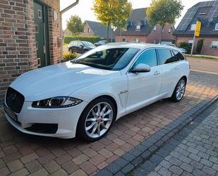 Jaguar Jaguar XF 3.0 L V6 Diesel Sportbrake - Gebrauchtwagen