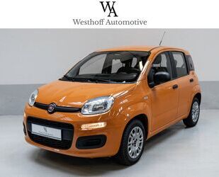 Fiat Fiat Panda Easy 1.2 Klima Radio Highclass CD ESP D Gebrauchtwagen