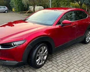 Mazda Mazda CX-30 2.0 SKYACTIV-G M-Hybrid Selection Sele Gebrauchtwagen