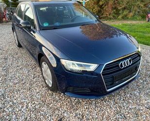 Audi Audi A3 Sportback 1,6 TDI*LED*SHZG*AHK*EU6*1.Hand Gebrauchtwagen