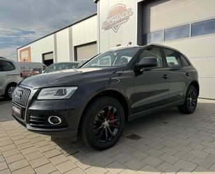 Audi Audi Q5 3.0 TDI Quattro/SHZ/AHK/NAVI/XENON/ Gebrauchtwagen