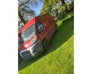 Fiat Fiat Ducato Gebrauchtwagen