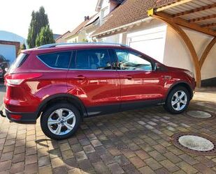 Ford Ford Kuga 1,5 EcoBoost 2x4 110kW Trend Trend Gebrauchtwagen