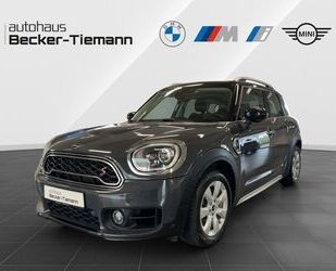 Mini MINI Cooper S Countryman Salt / Parkassistant/ LED Gebrauchtwagen