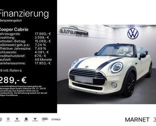 Mini MINI Mini Cooper Cabrio 1.5 Gebrauchtwagen