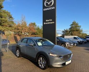 Mazda Mazda CX-30 SKYACTIV-G 2.0 M Hybrid 6AG SELECTION Gebrauchtwagen