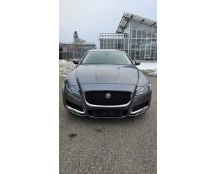 Jaguar Jaguar XF 20d 180PS Automatik, TÜV und Turbo neu Gebrauchtwagen