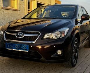 Subaru Subaru XV Exclusive *Allrad*Kame*S.dach*Elek. Sitz Gebrauchtwagen