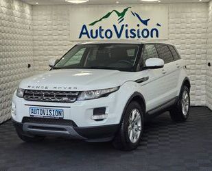 Land Rover Land Rover Range Rover 2.2 TD4 Evoque*Xenon*Leder Gebrauchtwagen