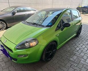 Fiat Fiat Punto More Gebrauchtwagen