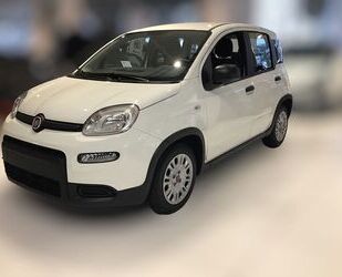 Fiat Fiat Panda MY22 Panda Hybrid 1.0 GSE 51kw Gebrauchtwagen