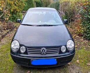 VW Volkswagen Polo 1.2 Cricket Cricket Gebrauchtwagen