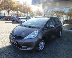 Honda Honda Jazz 1.4 Comfort Plus Gebrauchtwagen