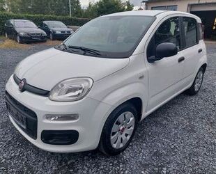 Fiat Fiat Panda Pop 1.2 LPG Euro6 1. Hand Klima TÜV 10/ Gebrauchtwagen